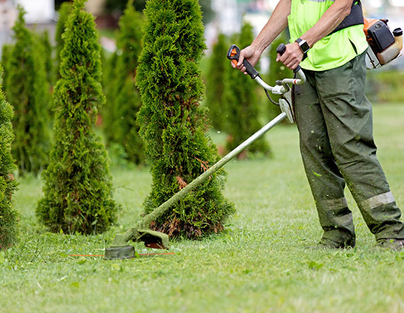 Landscaping Services